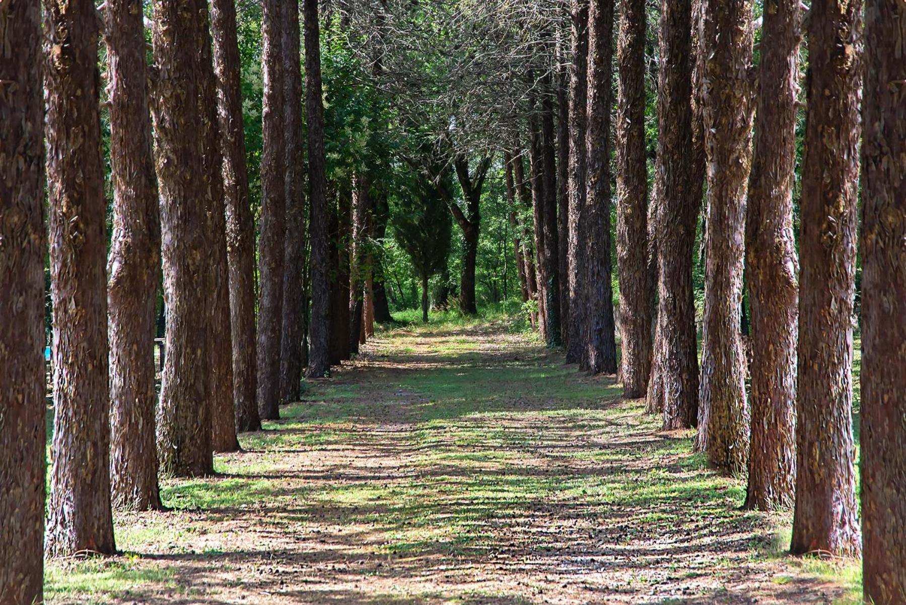 Agriturismo Villa Alari Четона Экстерьер фото